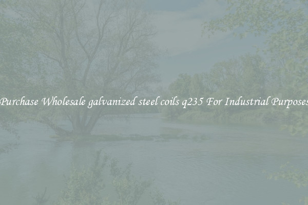 Purchase Wholesale galvanized steel coils q235 For Industrial Purposes