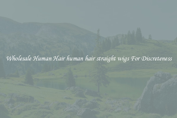 Wholesale Human Hair human hair straight wigs For Discreteness