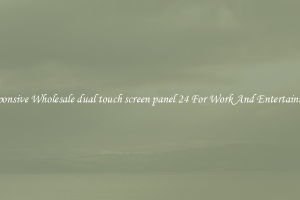Responsive Wholesale dual touch screen panel 24 For Work And Entertainment