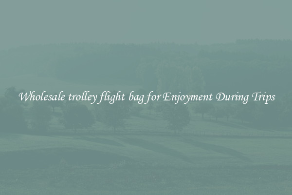 Wholesale trolley flight bag for Enjoyment During Trips