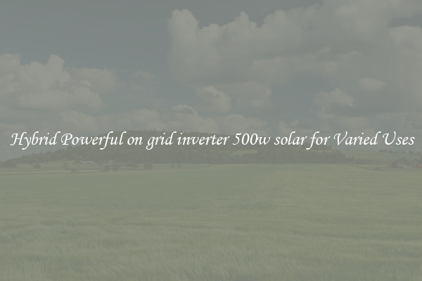 Hybrid Powerful on grid inverter 500w solar for Varied Uses