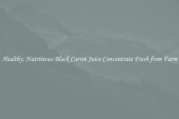 Healthy, Nutritious Black Carrot Juice Concentrate Fresh from Farm