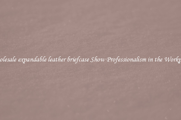 Wholesale expandable leather briefcase Show Professionalism in the Workplace