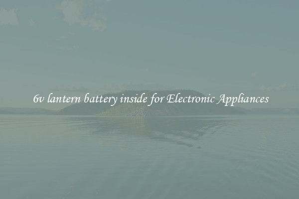 6v lantern battery inside for Electronic Appliances
