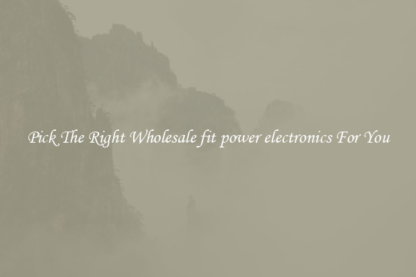 Pick The Right Wholesale fit power electronics For You
