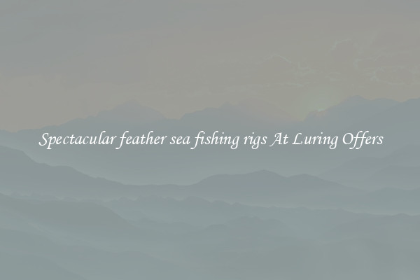 Spectacular feather sea fishing rigs At Luring Offers