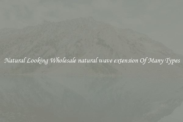 Natural Looking Wholesale natural wave extension Of Many Types