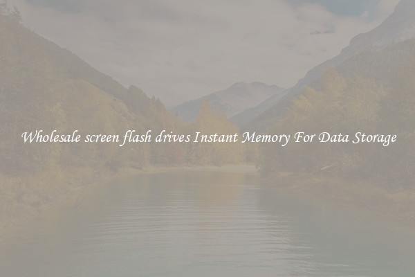 Wholesale screen flash drives Instant Memory For Data Storage