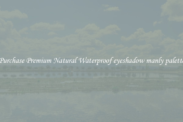 Purchase Premium Natural Waterproof eyeshadow manly palette