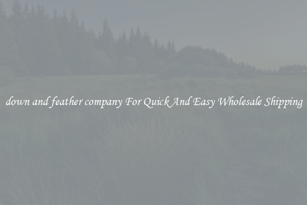 down and feather company For Quick And Easy Wholesale Shipping