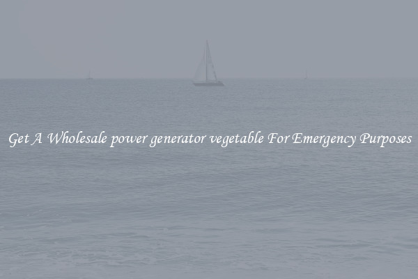 Get A Wholesale power generator vegetable For Emergency Purposes