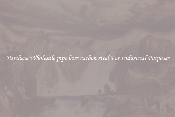 Purchase Wholesale pipe boss carbon steel For Industrial Purposes