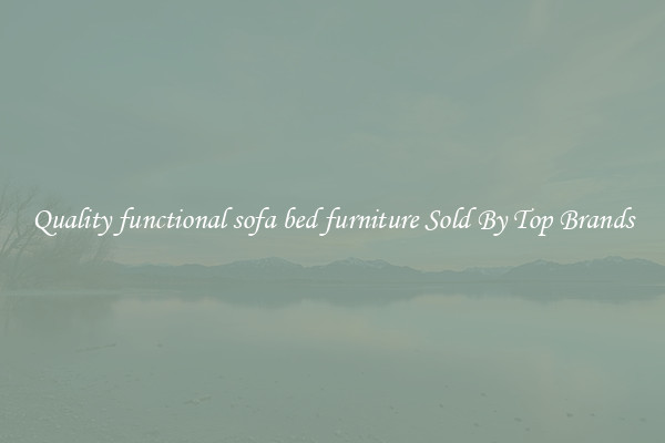 Quality functional sofa bed furniture Sold By Top Brands