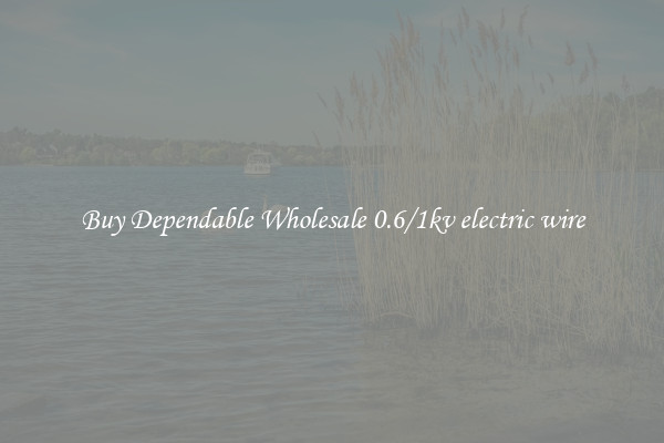 Buy Dependable Wholesale 0.6/1kv electric wire
