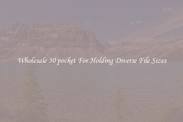 Wholesale 30 pocket For Holding Diverse File Sizes