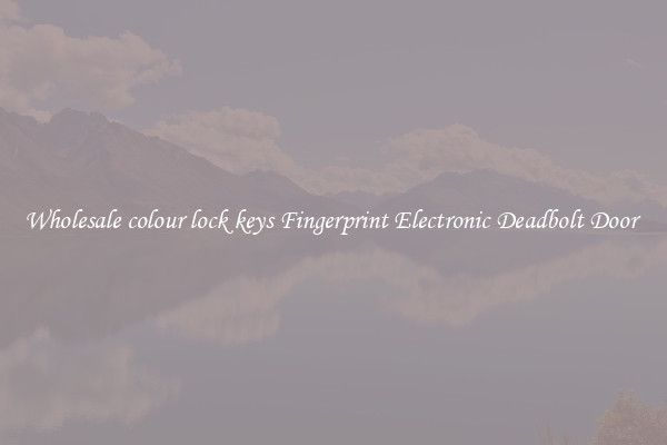 Wholesale colour lock keys Fingerprint Electronic Deadbolt Door 