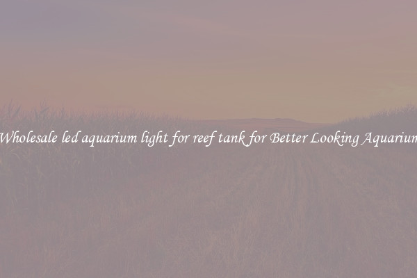 Wholesale led aquarium light for reef tank for Better Looking Aquarium
