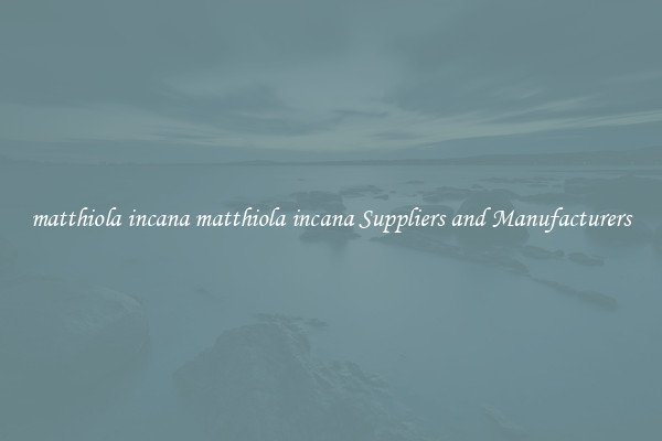 matthiola incana matthiola incana Suppliers and Manufacturers