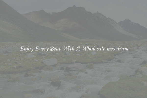 Enjoy Every Beat With A Wholesale mes drum