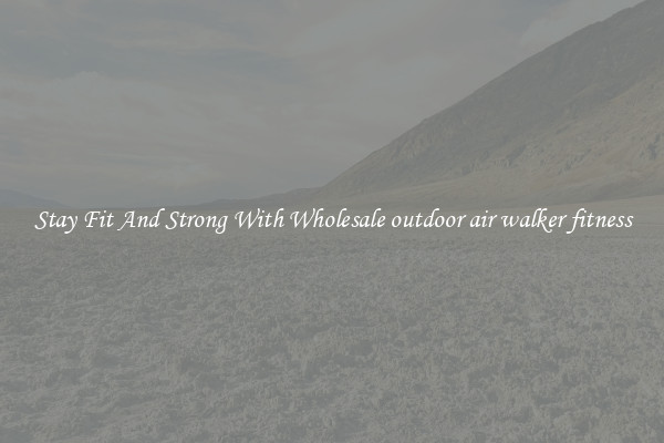 Stay Fit And Strong With Wholesale outdoor air walker fitness