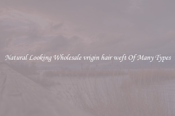 Natural Looking Wholesale vrigin hair weft Of Many Types