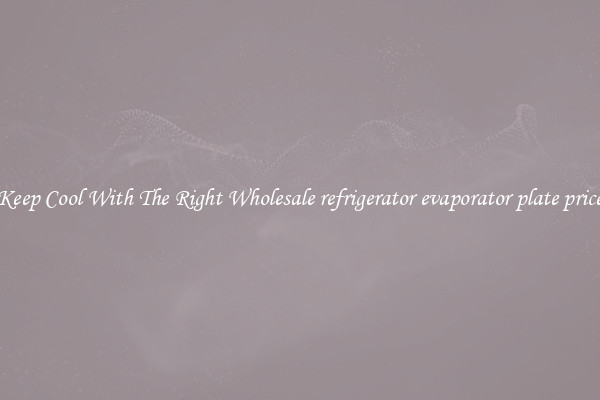 Keep Cool With The Right Wholesale refrigerator evaporator plate price
